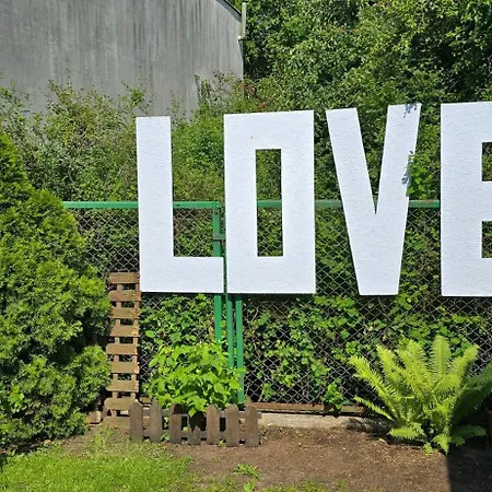 Orle Gniazdo * Władysławowo