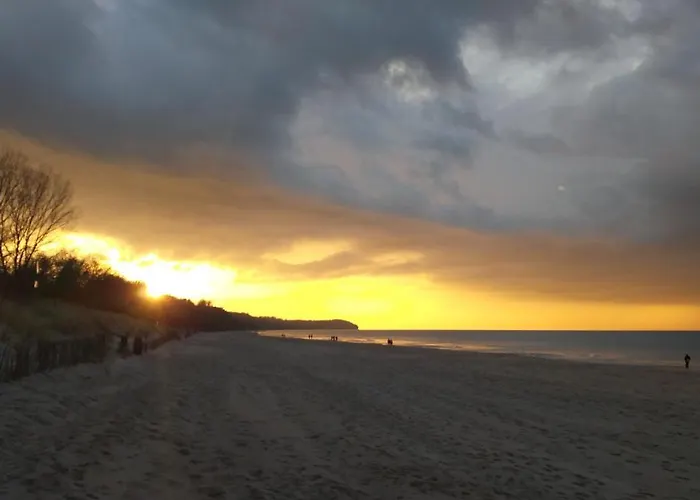 Orle Gniazdo Władysławowo