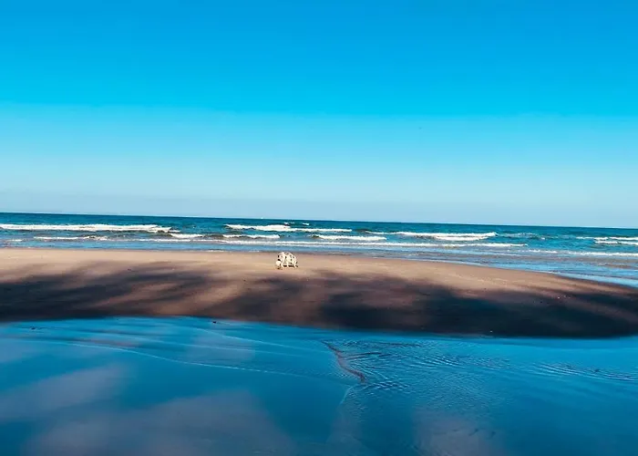 Orle Gniazdo Pansiyon